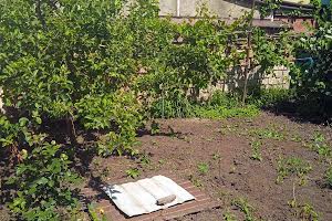 комната по адресу Тенинстая, 6