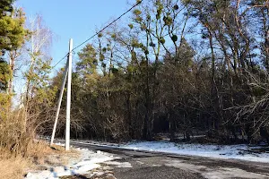 участок по адресу Лісна