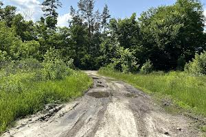 участок по адресу с. Копылов, 