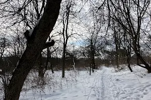 участок по адресу Холодная ул.