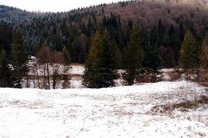 участок по адресу Урочище Долинка, 1