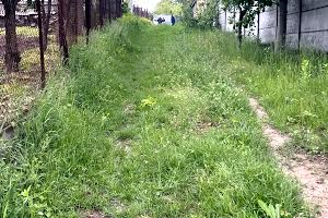 участок по адресу Синеводская ул.