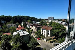 квартира за адресою Родини Крушельницьких вул., 3