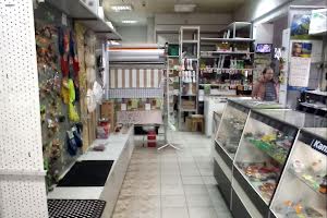 комерційна за адресою Київська вул., 3 б