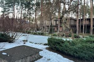 будинок за адресою бучанський
