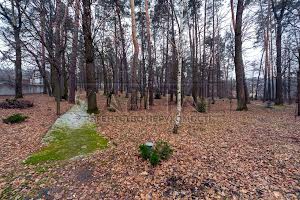 дом по адресу Бучанський
