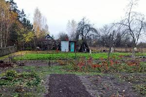 ділянка за адресою с. Мажугівка, 