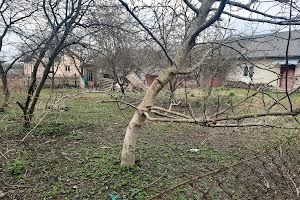 дом по адресу Бічна, 153