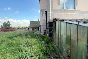 дом по адресу Милены Рудницкой ул. (50-летия Победы), 15