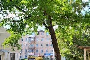 квартира за адресою Алмазна вул., 3