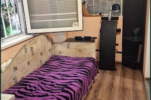 квартира за адресою Хіміків вул., 17