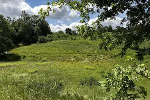 участок по адресу Центральна