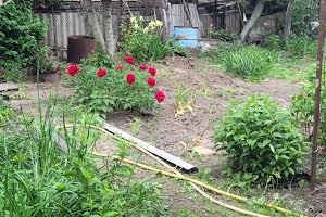 дом по адресу Федьковича пер.