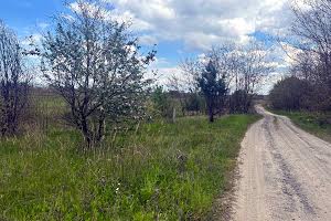 ділянка за адресою с. Михайлівка-Рубежівка, Приозерна