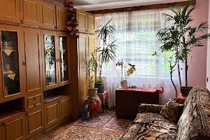 квартира за адресою Івана Миколайчука вул., 17