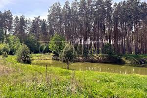 дом по адресу Бориспільський