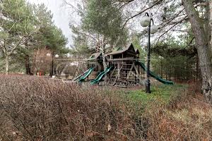 дом по адресу Вишгородський