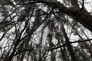 участок по адресу с. Гатное, Землестроительная ул.