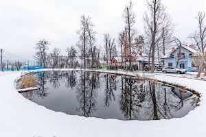 дом по адресу Рославичі