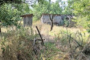 ділянка за адресою с. Яснозір'я, Весняна