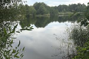 ділянка за адресою Лісова