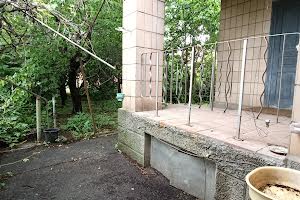 дом по адресу Золотоноша, пушкіна