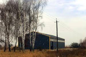 коммерческая по адресу вул. Братів Кузьменків, 1