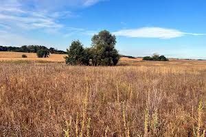 ділянка за адресою с. Михайлівка-Рубежівка, Патріотів