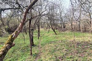 участок по адресу Заставненская ул., 38
