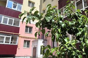 квартира за адресою Лушпи, 5 к 25