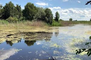 дом по адресу Центральна