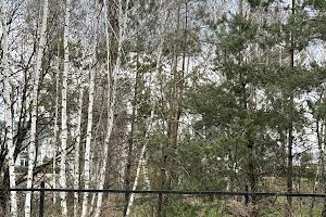 дом по адресу Ворзельська ул.