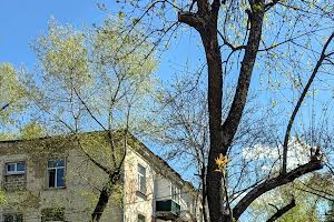 квартира по адресу Арсения Тарковского ул. (Володарського), 16 к4