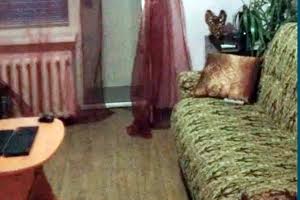 квартира по адресу Зелінського, 20