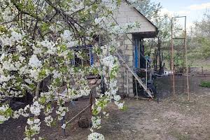 будинок за адресою Провулок Військовий, 16