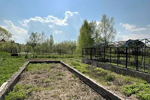 ділянка за адресою с. Новоукраїнка, 