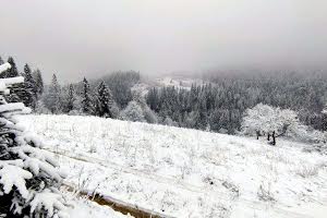 ділянка за адресою Ділок