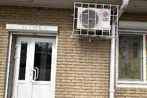комерційна за адресою Достоєвського, 33/8
