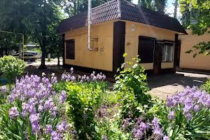комерційна за адресою Космонавтів вул., 31