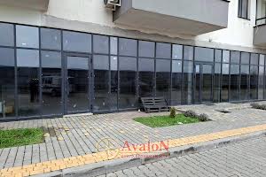 комерційна за адресою с. Крижанівка, Бочарова, 70