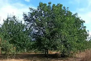 дом по адресу Мира, 2