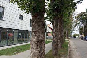 комерційна за адресою Петра Калнишевського вул., 13