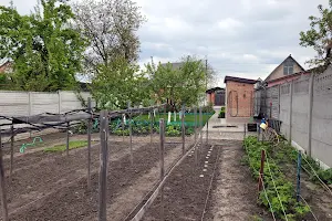 дом по адресу Чайковского ул.