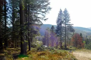 будинок за адресою Бориславська, 21