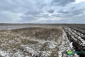 ділянка за адресою урочище Герегова долина