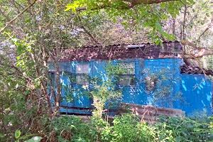 участок по адресу Горіхова