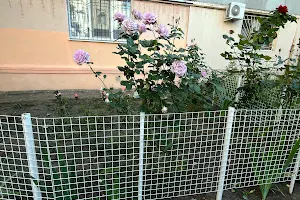квартира по адресу Шилова ул., 37