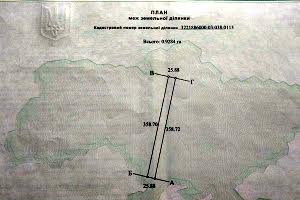 участок по адресу с. Новые петровцы, 