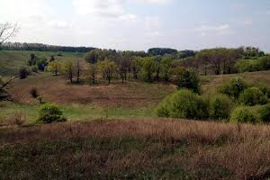 ділянка за адресою с. Великі Дмитровичі, 