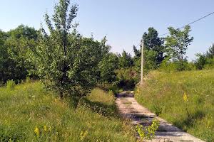 ділянка за адресою с. Велика Бугаївка, Леніна